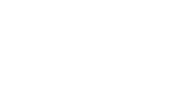 Clever Ideas Studio logo dark